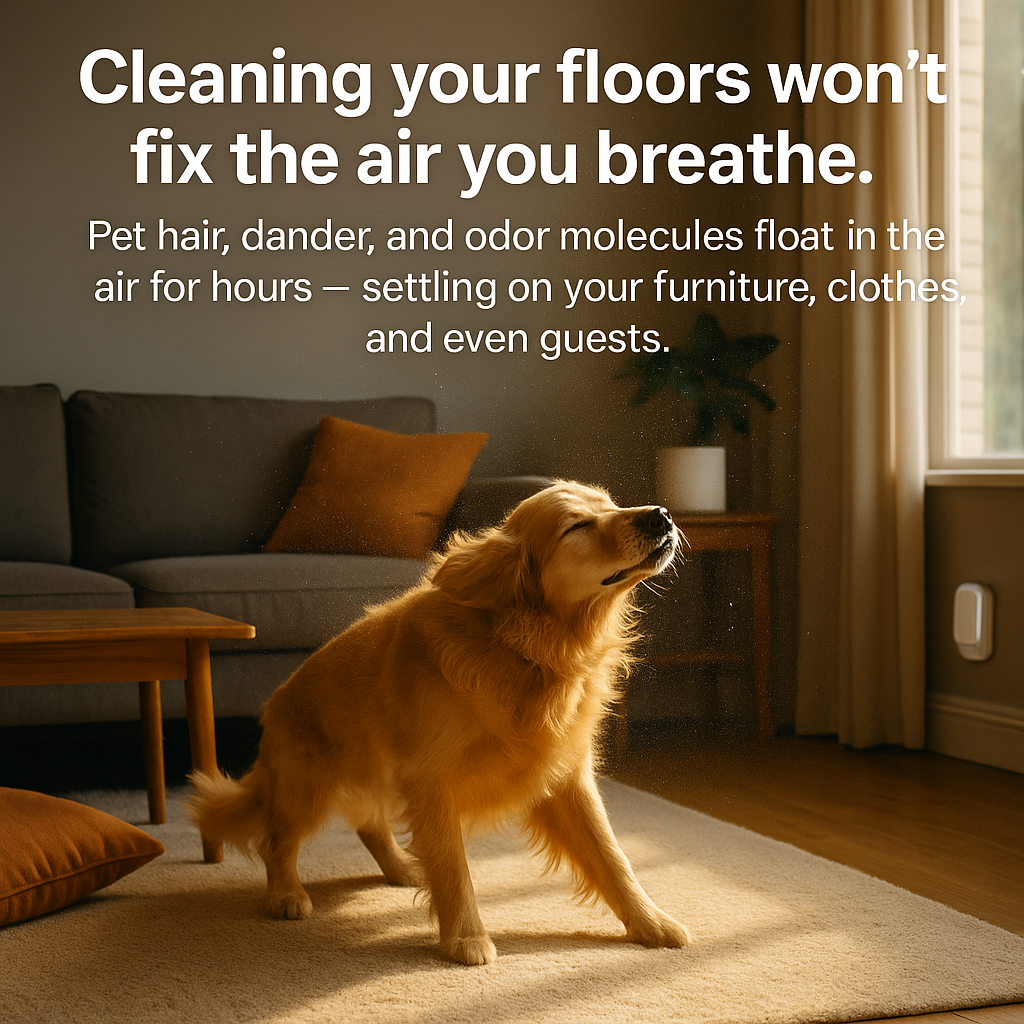 Eliminate Dog/Cat Hair Dander & Allergens That Trigger Painful Allergies in Just 30 Minutes